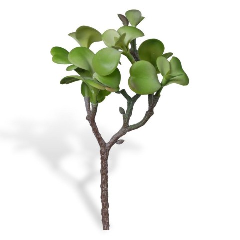 RAMO PIANTA GRASSA CM30 LT GREEN